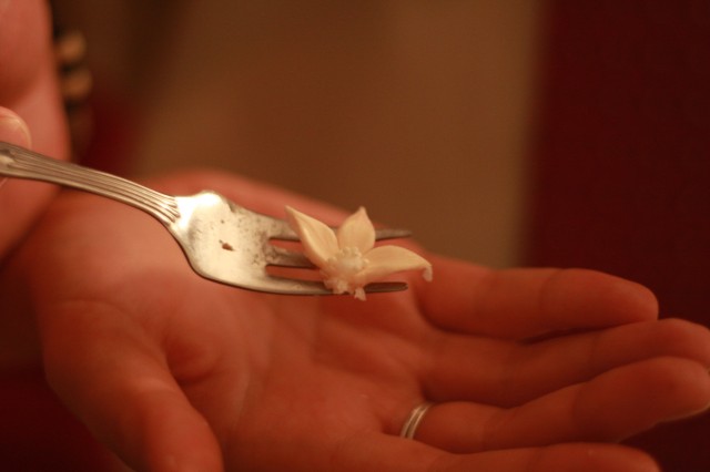 fot.Artek (canon) 379.jpg