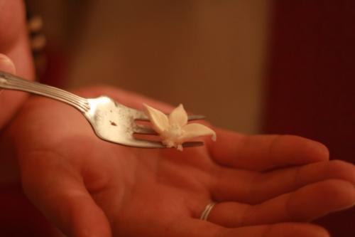 fot.Artek (canon) 379.jpg