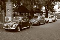 fot.Artek (canon) 186.jpg