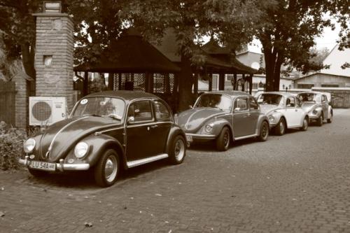 fot.Artek (canon) 186.jpg