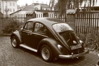 fot.Artek (canon) 187.jpg