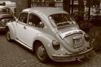 fot.Artek (canon) 189.jpg