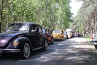 fot.artek (canon) 105.jpg