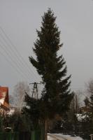 fot.Artek (canon) 241.jpg