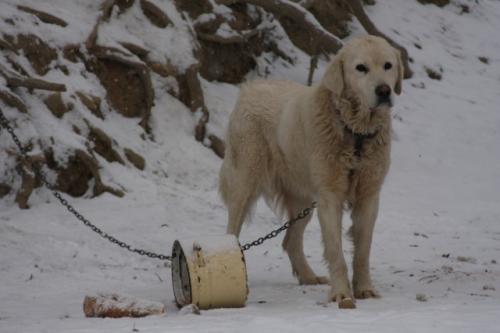 fot.Artek (canon) 264.jpg