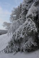 fot.Artek (canon) 292.jpg