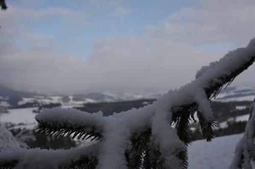 fot.Artek (canon) 296.jpg