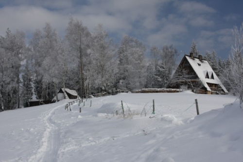 fot.Artek (canon) 307.jpg