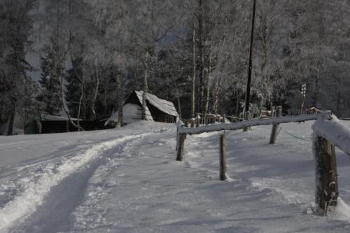 fot.Artek (canon) 308.jpg