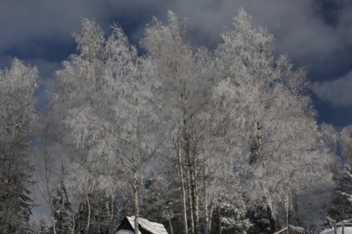 fot.Artek (canon) 309.jpg