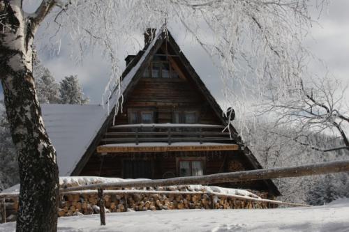 fot.Artek (canon) 310.jpg