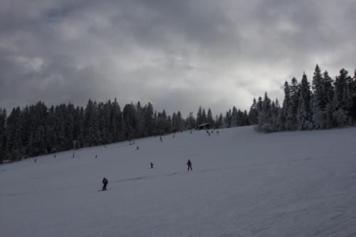 fot.Artek (canon) 311.jpg