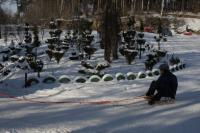 fot.Artek (canon) 320.jpg