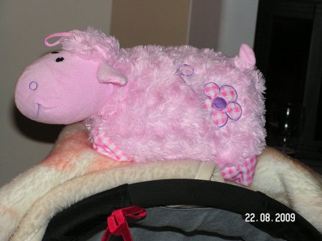 PICT0079.JPG