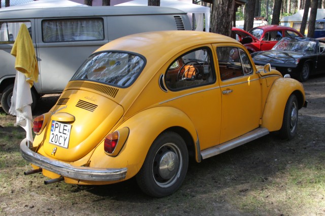fot.artek (canon) 213.jpg