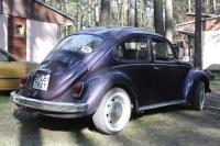 fot.artek (canon) 217.jpg