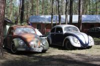 fot.artek (canon) 224.jpg