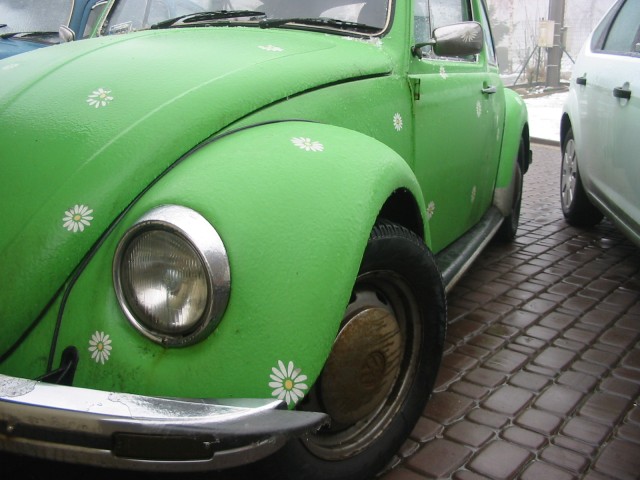 fot.Jurek