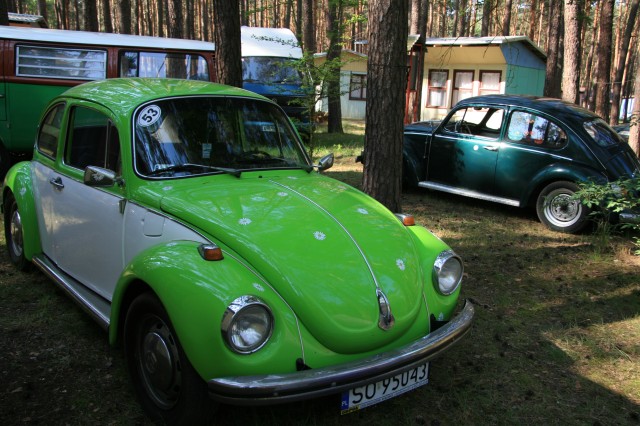 fot.Jurek