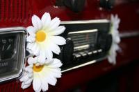 fot.Michał (VW Trends)