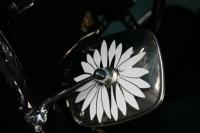 fot.Michał (VW Trends)