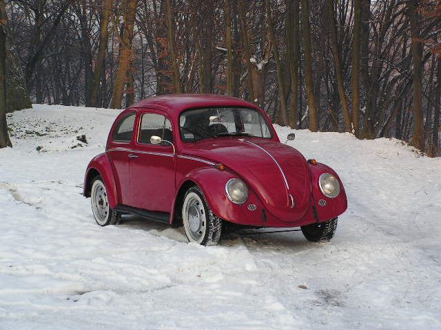 fot.Michał (VW Trends)