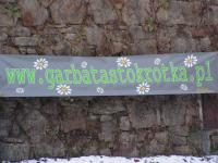 fot.Michał (VW Trends)