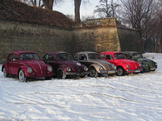 fot.Michał (VW Trends)