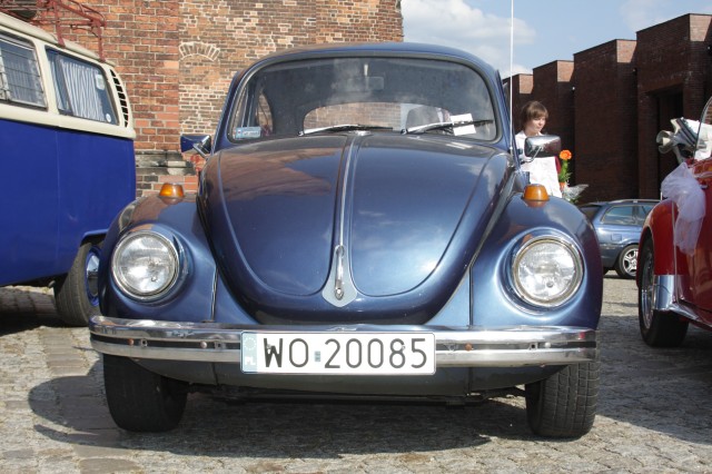 Obraz 126.jpg