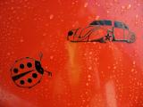 fot.Jurek