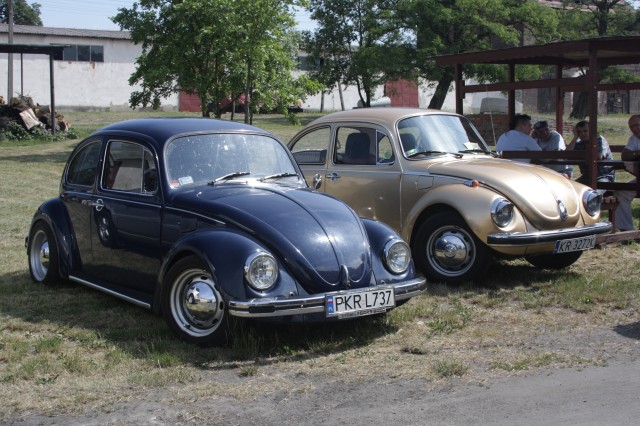 Obraz 689.jpg