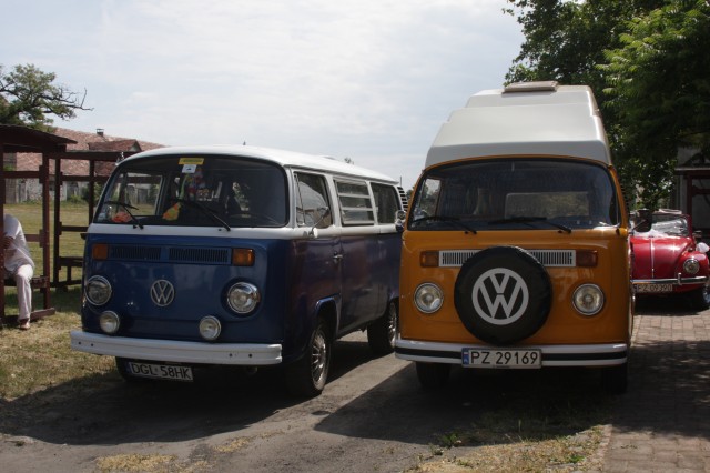 Obraz 690.jpg