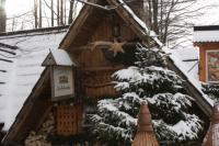 fot.Artek (canon) 466.jpg