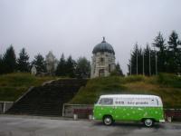 fot.Artek - Stokroteczka ;)