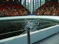 fot.Marek - Delfinarium 