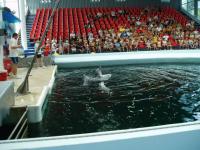 fot.Marek - Delfinarium