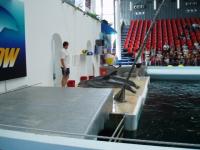 fot.Marek - Delfinarium