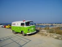 fot.Marek - Stokrotka na cypelku ;)