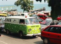 fot.Artek(Canon) - Stokrotka przy naszej plaży