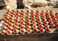 fot.Artek(Canon) - piękne te muszelki ;)