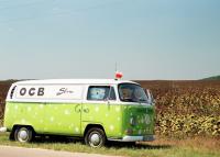 fot.Artek(Canon) - Stokrotka i Słoneczniki ;) 