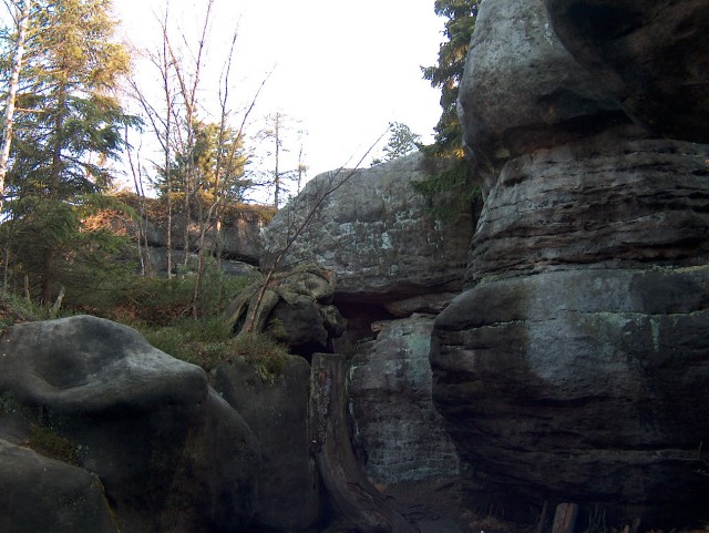 Obraz_080.jpg