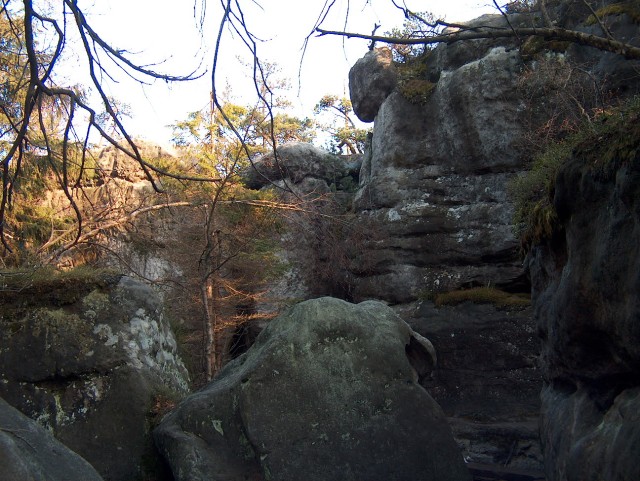 Obraz_081.jpg