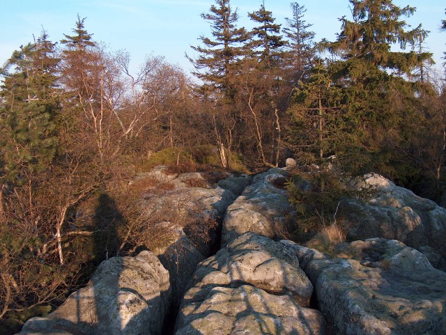 Obraz_083.jpg