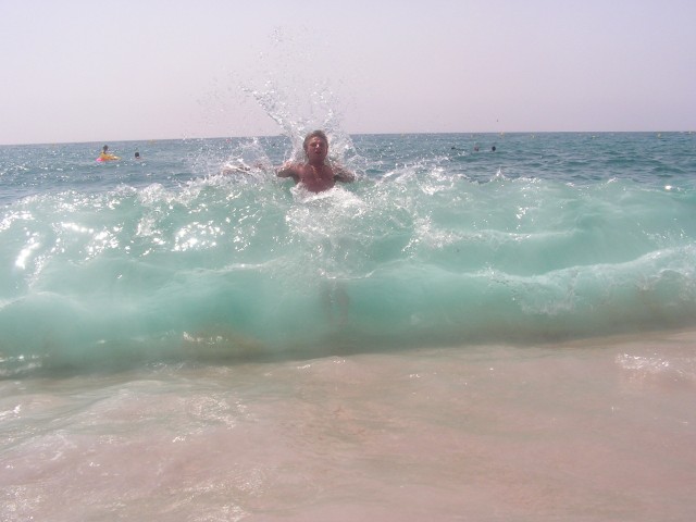 Fot.Artek