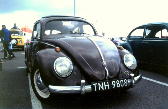 t022.jpg