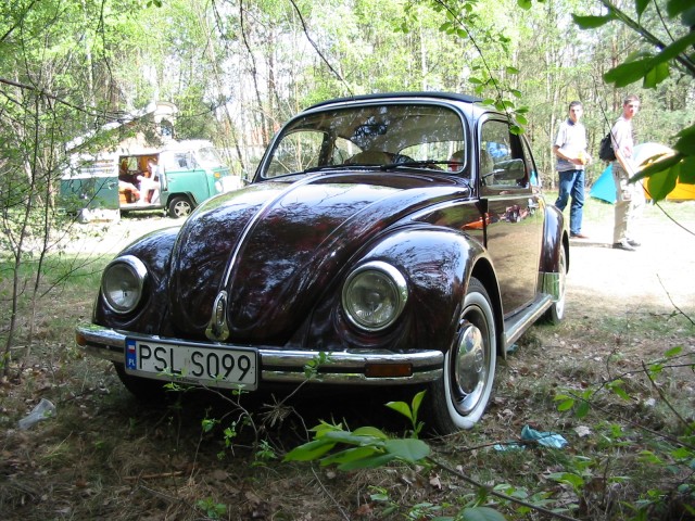 fot.Jurek