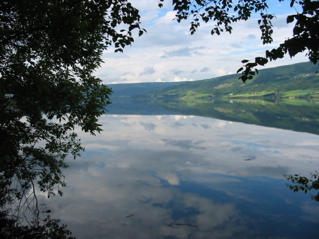 fot.Jurek