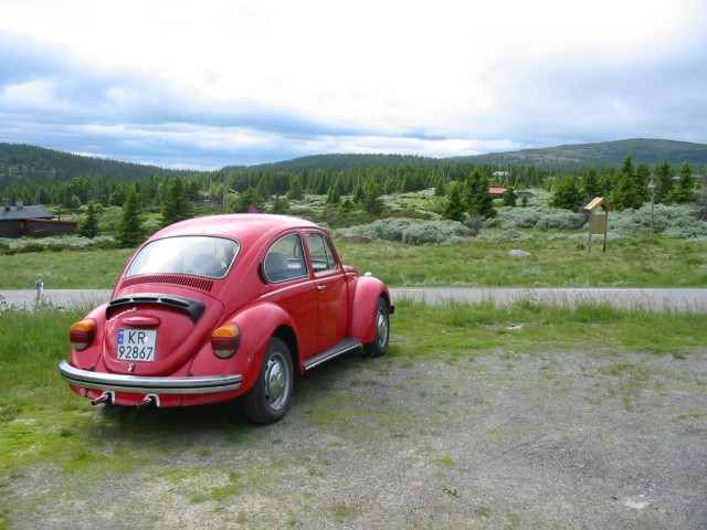 fot.Jurek