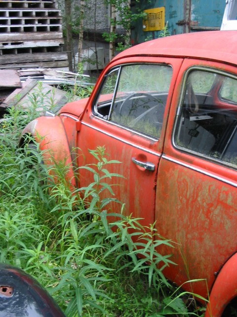 fot.Jurek